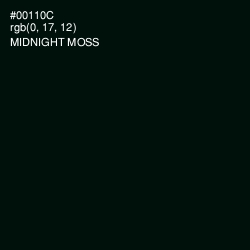 #00110C - Midnight Moss Color Image